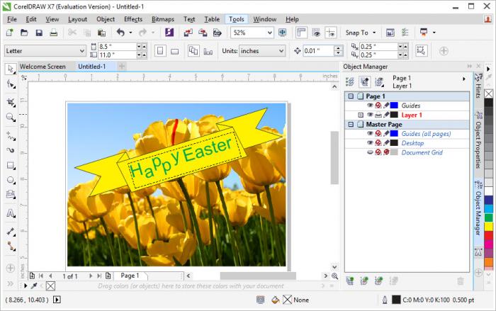 What Are the Best Tools for Graphic Designers?