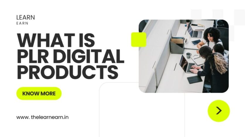 PLR Digital Products