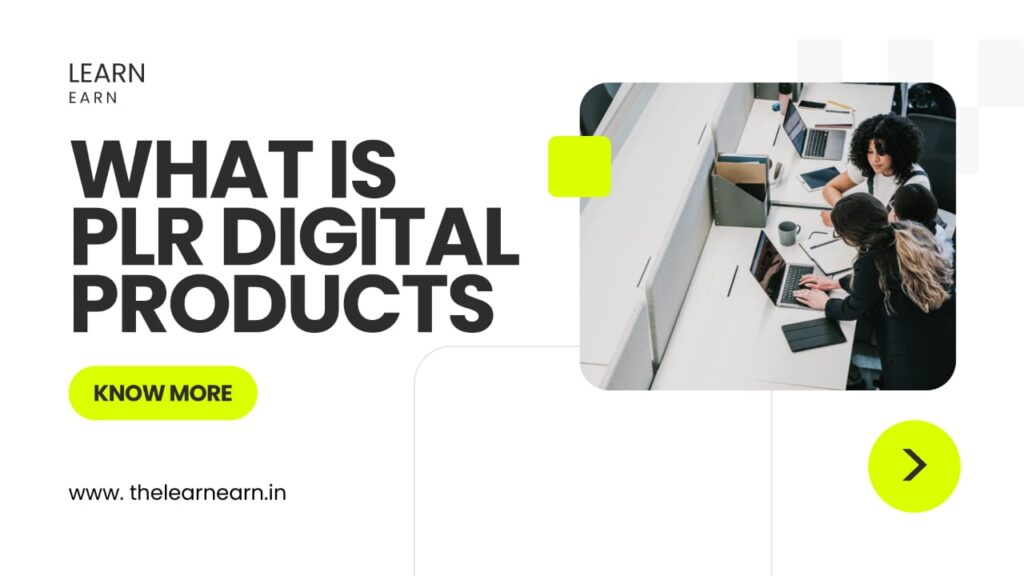  PLR Digital Products