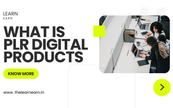 PLR Digital Products