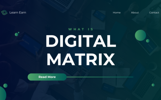 What is a Digital Matrix?